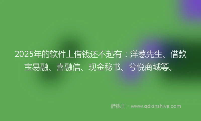 2025年的软件上借钱还不起有：洋葱先生、借款宝易融、喜融信、现金秘书、兮悦商城等。