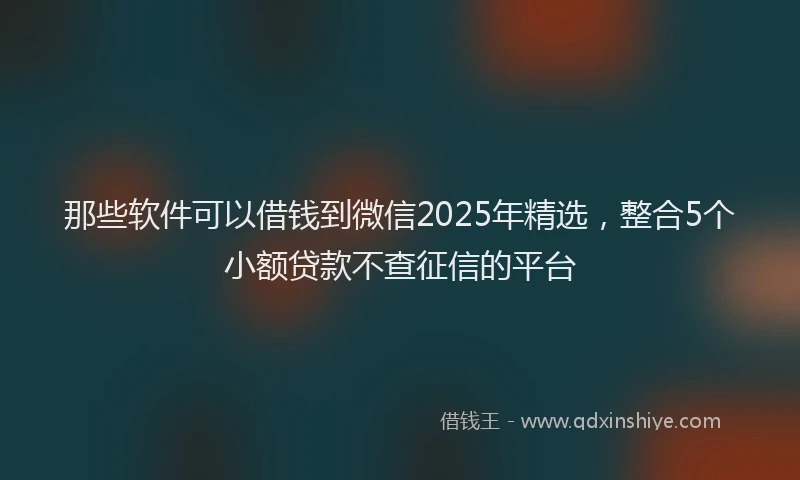 那些软件可以借钱到微信2025年精选，整合5个小额贷款不查征信的平台