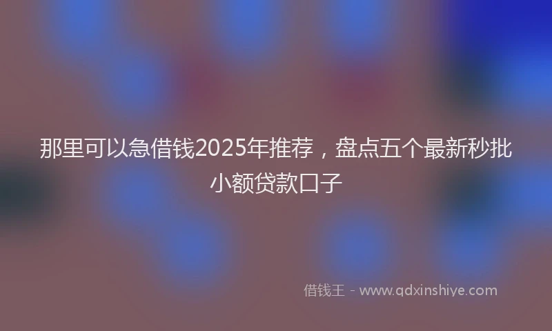那里可以急借钱2025年推荐，盘点五个最新秒批小额贷款口子