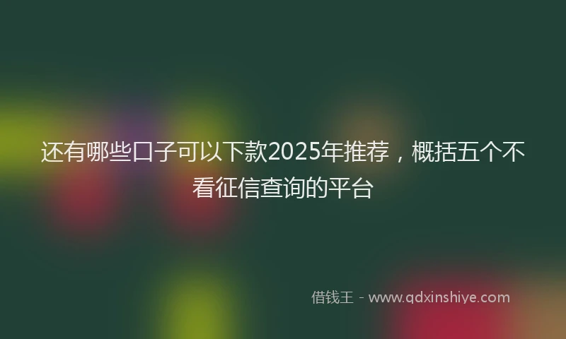还有哪些口子可以下款2025年推荐，概括五个不看征信查询的平台