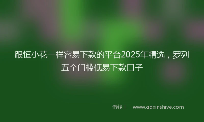 跟恒小花一样容易下款的平台2025年精选，罗列五个门槛低易下款口子