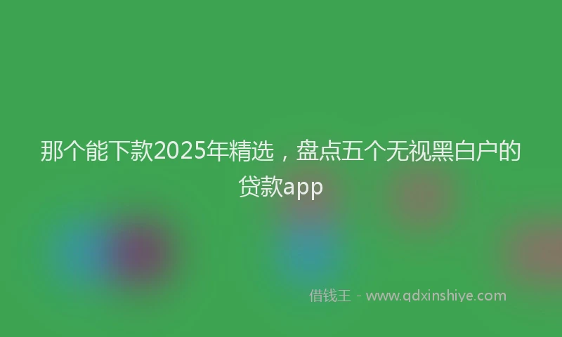 那个能下款2025年精选，盘点五个无视黑白户的贷款app
