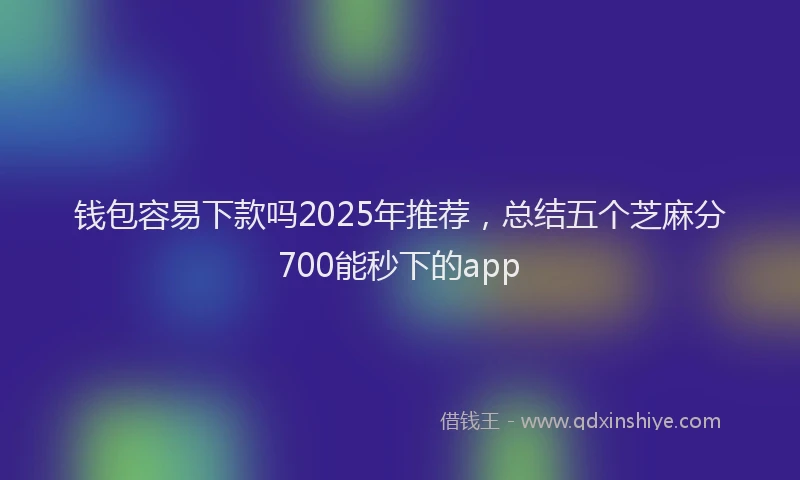 钱包容易下款吗2025年推荐，总结五个芝麻分700能秒下的app