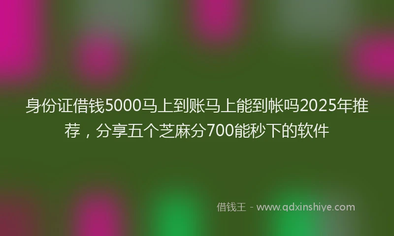 身份证借钱5000马上到账马上能到帐吗2025年推荐，分享五个芝麻分700能秒下的软件