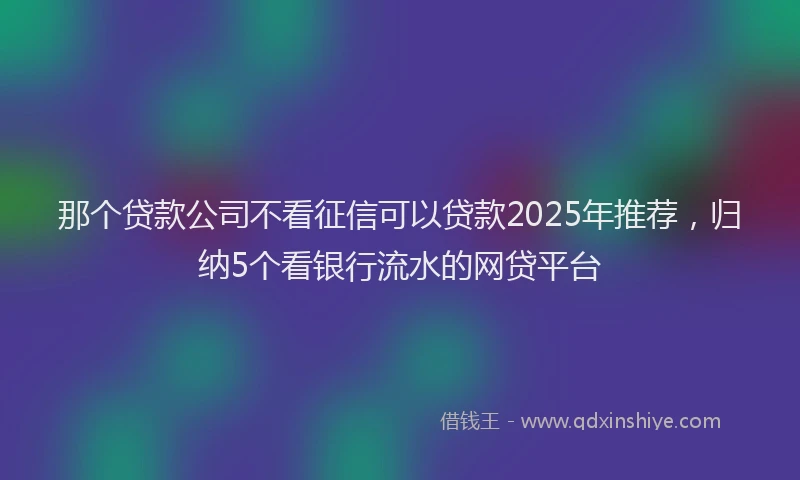 那个贷款公司不看征信可以贷款2025年推荐，归纳5个看银行流水的网贷平台