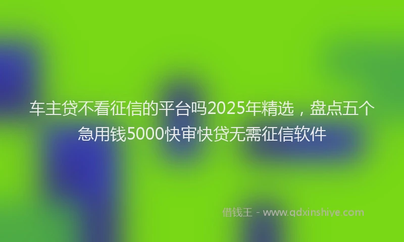 车主贷不看征信的平台吗2025年精选，盘点五个急用钱5000快审快贷无需征信软件