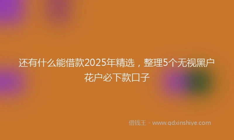 还有什么能借款2025年精选，整理5个无视黑户花户必下款口子