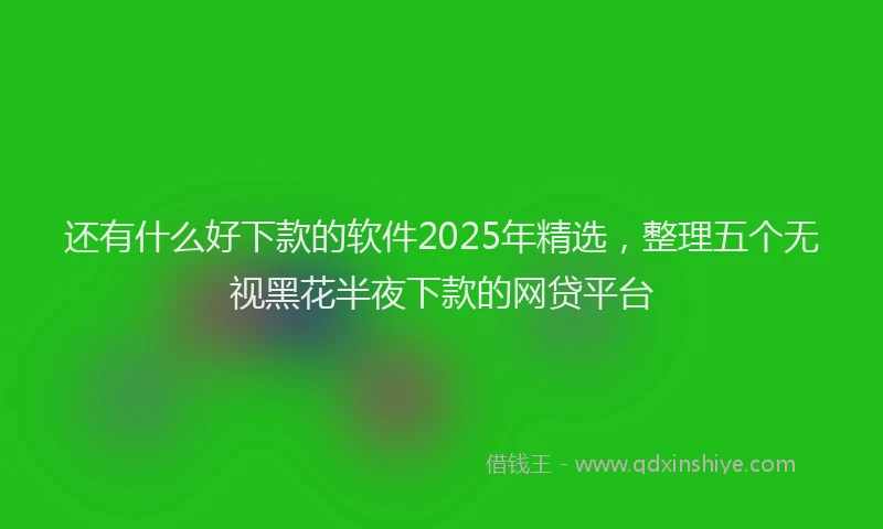 还有什么好下款的软件2025年精选，整理五个无视黑花半夜下款的网贷平台