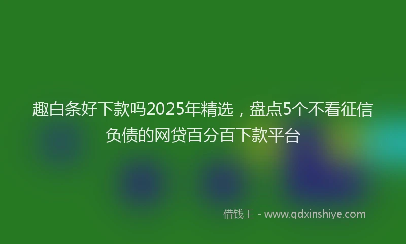 趣白条好下款吗2025年精选，盘点5个不看征信负债的网贷百分百下款平台