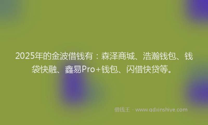 2025年的金波借钱有：森泽商城、浩瀚钱包、钱袋快融、鑫易Pro+钱包、闪借快贷等。