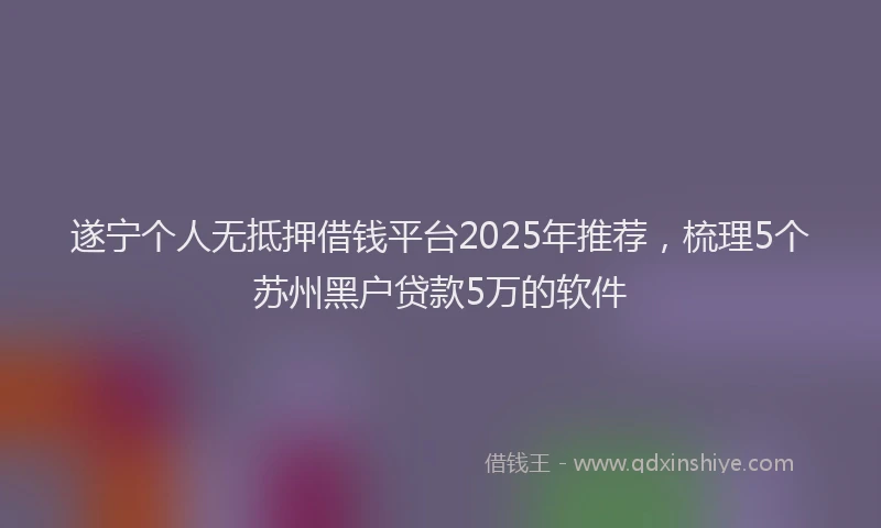 遂宁个人无抵押借钱平台2025年推荐，梳理5个苏州黑户贷款5万的软件