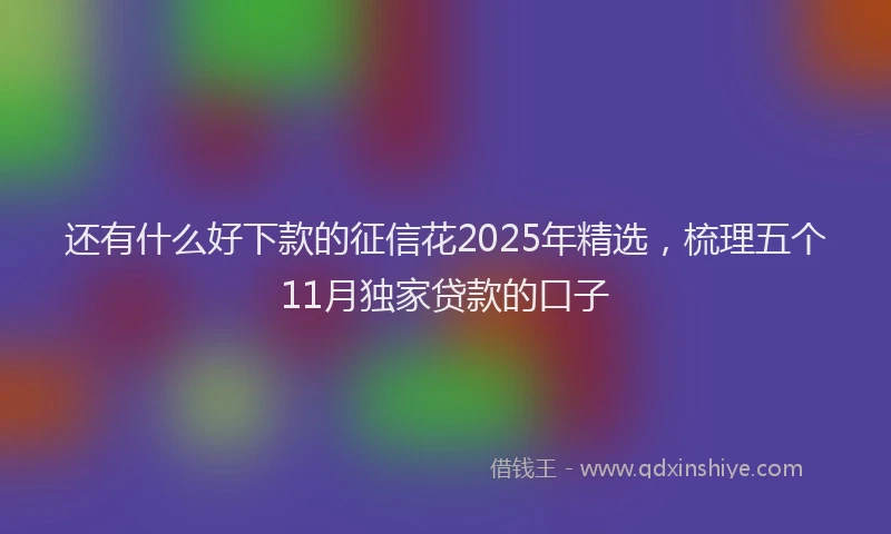 还有什么好下款的征信花2025年精选，梳理五个11月独家贷款的口子