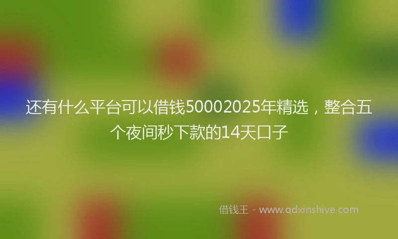 还有什么平台可以借钱50002025年精选，整合五个夜间秒下款的14天口子
