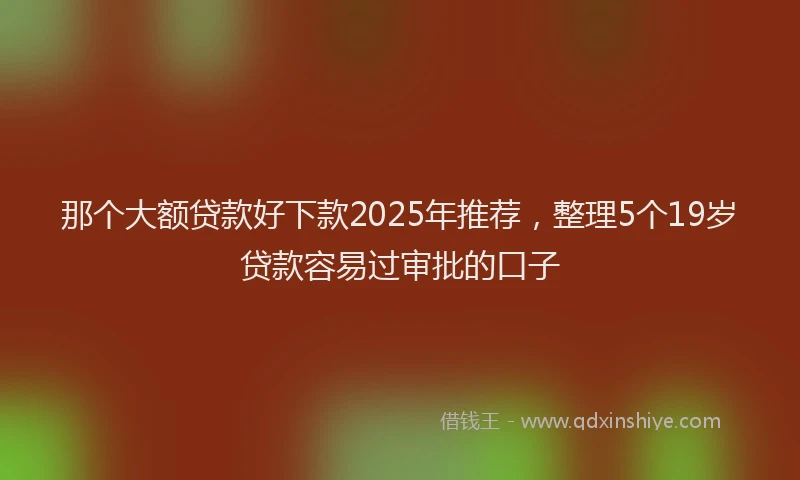 那个大额贷款好下款2025年推荐，整理5个19岁贷款容易过审批的口子