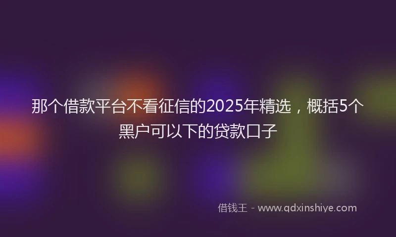 那个借款平台不看征信的2025年精选，概括5个黑户可以下的贷款口子