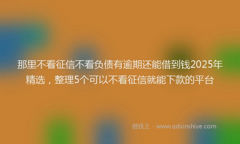 那里不看征信不看负债有逾期还能借到钱2025年精选，整理5个可以不看征信就能下款的平台