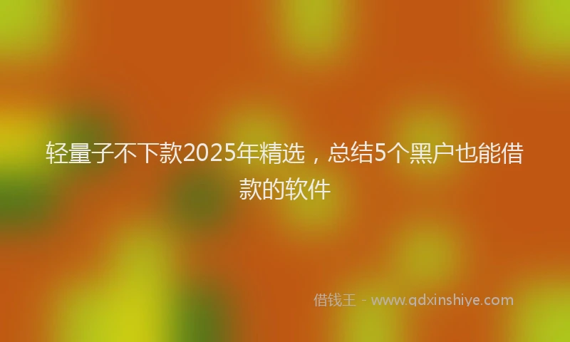 轻量子不下款2025年精选，总结5个黑户也能借款的软件
