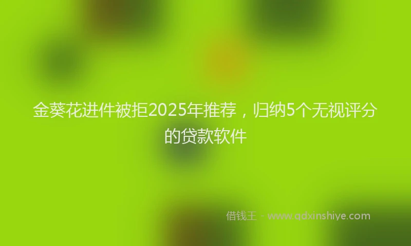 金葵花进件被拒2025年推荐，归纳5个无视评分的贷款软件