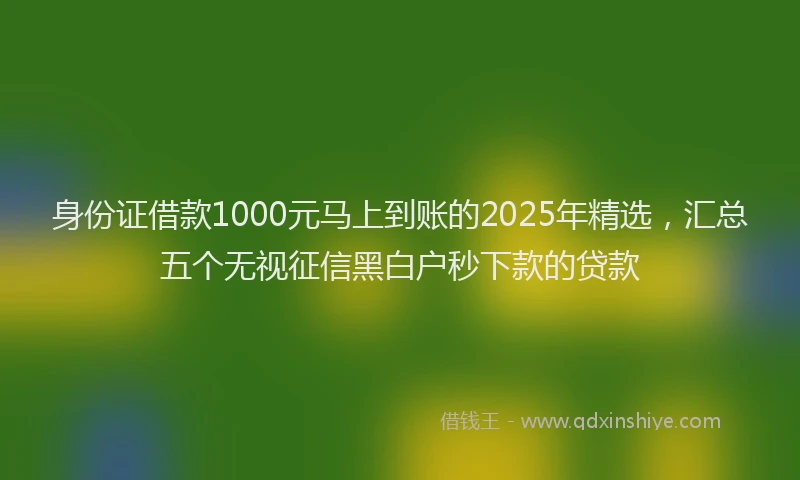 身份证借款1000元马上到账的2025年精选，汇总五个无视征信黑白户秒下款的贷款