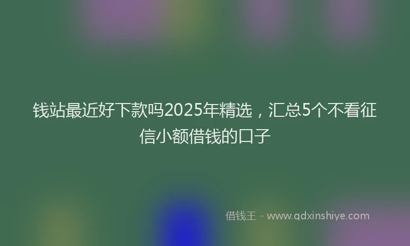 钱站最近好下款吗2025年精选，汇总5个不看征信小额借钱的口子