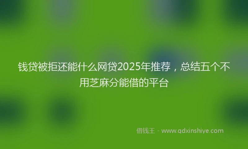 钱贷被拒还能什么网贷2025年推荐，总结五个不用芝麻分能借的平台