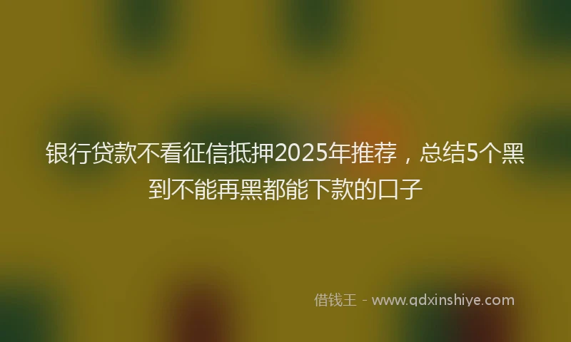 银行贷款不看征信抵押2025年推荐，总结5个黑到不能再黑都能下款的口子