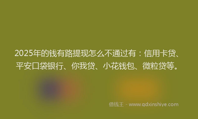 2025年的钱有路提现怎么不通过有：信用卡贷、平安口袋银行、你我贷、小花钱包、微粒贷等。
