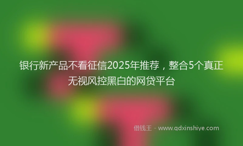 银行新产品不看征信2025年推荐，整合5个真正无视风控黑白的网贷平台