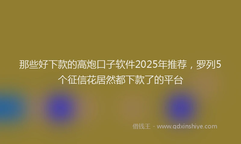 那些好下款的高炮口子软件2025年推荐，罗列5个征信花居然都下款了的平台
