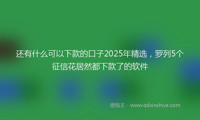 还有什么可以下款的口子2025年精选，罗列5个征信花居然都下款了的软件