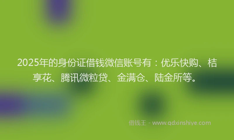 2025年的身份证借钱微信账号有：优乐快购、桔享花、腾讯微粒贷、金满仓、陆金所等。