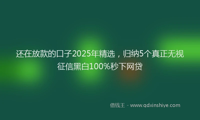还在放款的口子2025年精选，归纳5个真正无视征信黑白100%秒下网贷