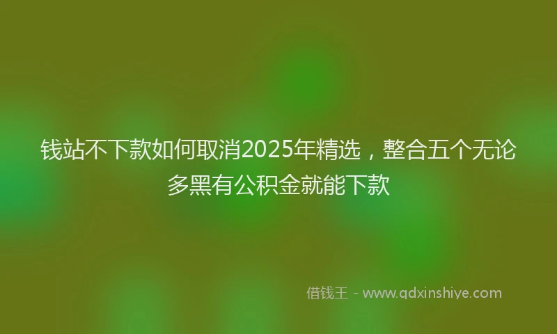 钱站不下款如何取消2025年精选，整合五个无论多黑有公积金就能下款