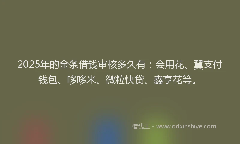 2025年的金条借钱审核多久有:会用花、翼支付钱包、哆哆米、微粒快贷、鑫享花等。