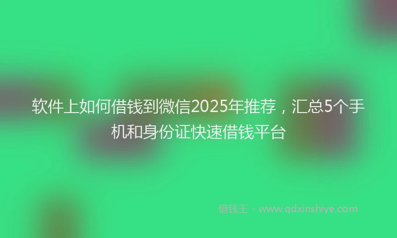 软件上如何借钱到微信2025年推荐，汇总5个手机和身份证快速借钱平台