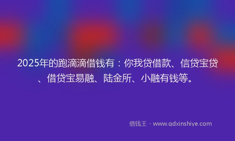 2025年的跑滴滴借钱有：你我贷借款、信贷宝贷、借贷宝易融、陆金所、小融有钱等。