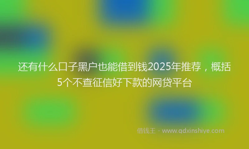 还有什么口子黑户也能借到钱2025年推荐，概括5个不查征信好下款的网贷平台