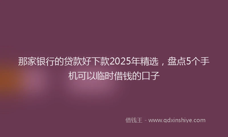 那家银行的贷款好下款2025年精选，盘点5个手机可以临时借钱的口子