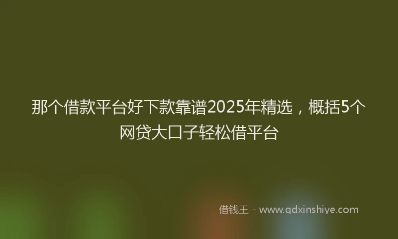 那个借款平台好下款靠谱2025年精选，概括5个网贷大口子轻松借平台