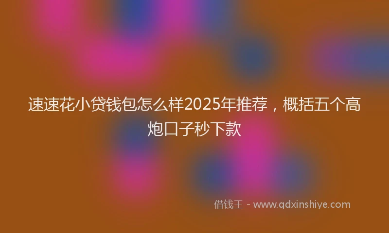 速速花小贷钱包怎么样2025年推荐，概括五个高炮口子秒下款