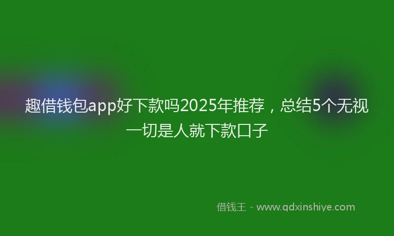 趣借钱包app好下款吗2025年推荐，总结5个无视一切是人就下款口子