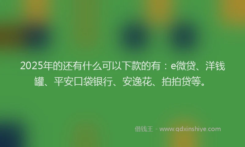 2025年的还有什么可以下款的有:e微贷、洋钱罐、平安口袋银行、安逸花、拍拍贷等。