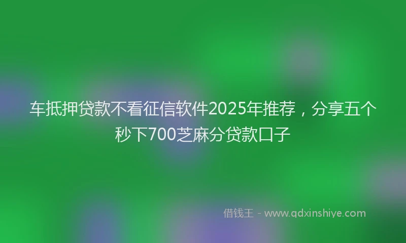 车抵押贷款不看征信软件2025年推荐，分享五个秒下700芝麻分贷款口子