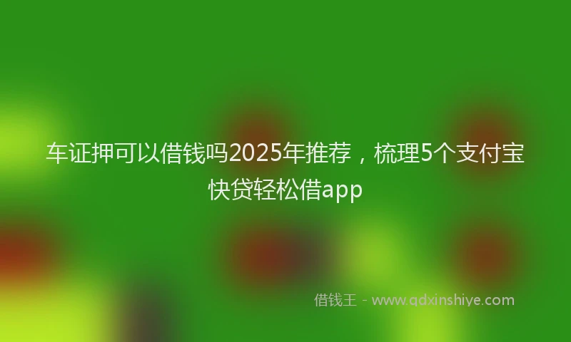 车证押可以借钱吗2025年推荐，梳理5个支付宝快贷轻松借app