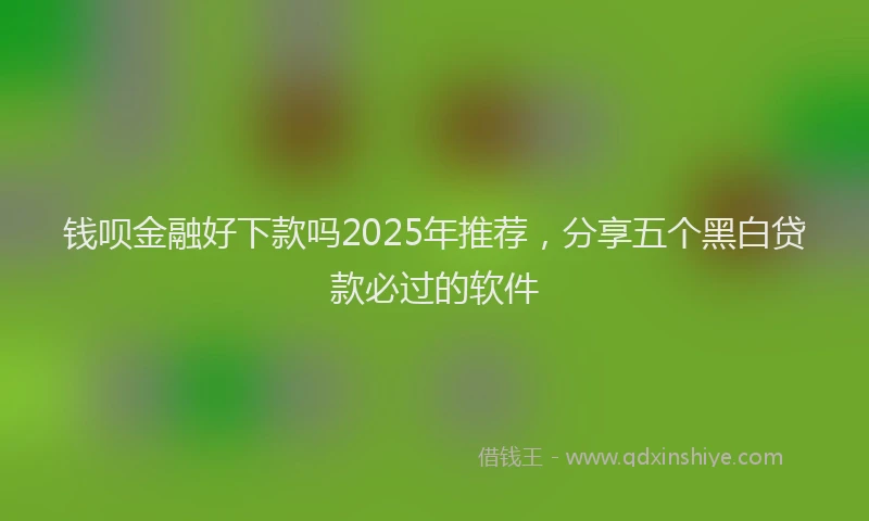 钱呗金融好下款吗2025年推荐，分享五个黑白贷款必过的软件