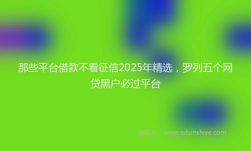 那些平台借款不看征信2025年精选，罗列五个网贷黑户必过平台