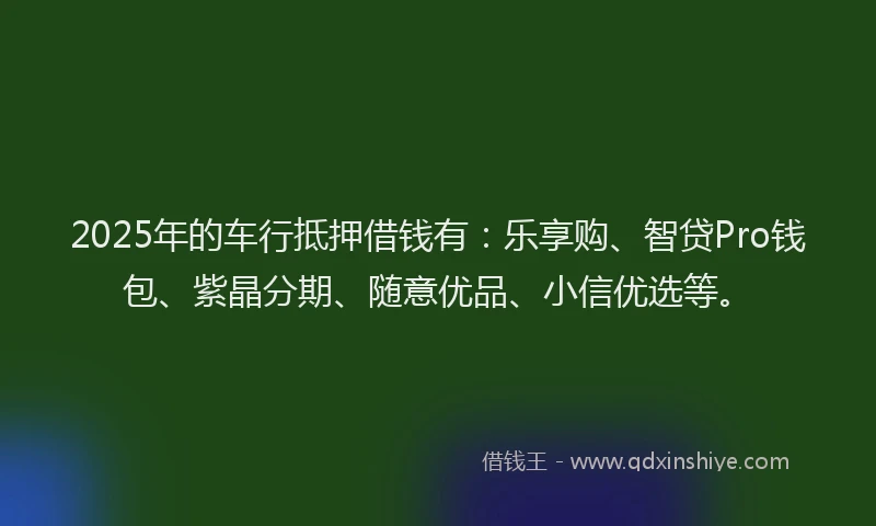 2025年的车行抵押借钱有：乐享购、智贷Pro钱包、紫晶分期、随意优品、小信优选等。