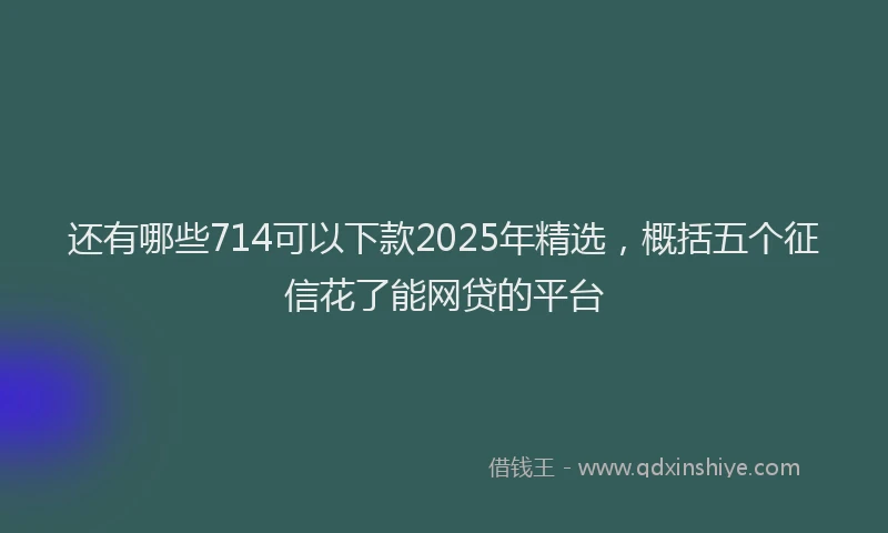 还有哪些714可以下款2025年精选，概括五个征信花了能网贷的平台
