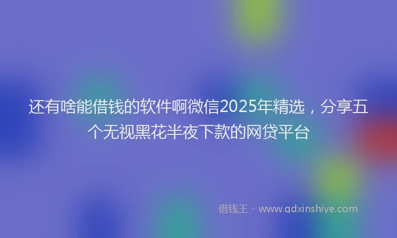 还有啥能借钱的软件啊微信2025年精选，分享五个无视黑花半夜下款的网贷平台