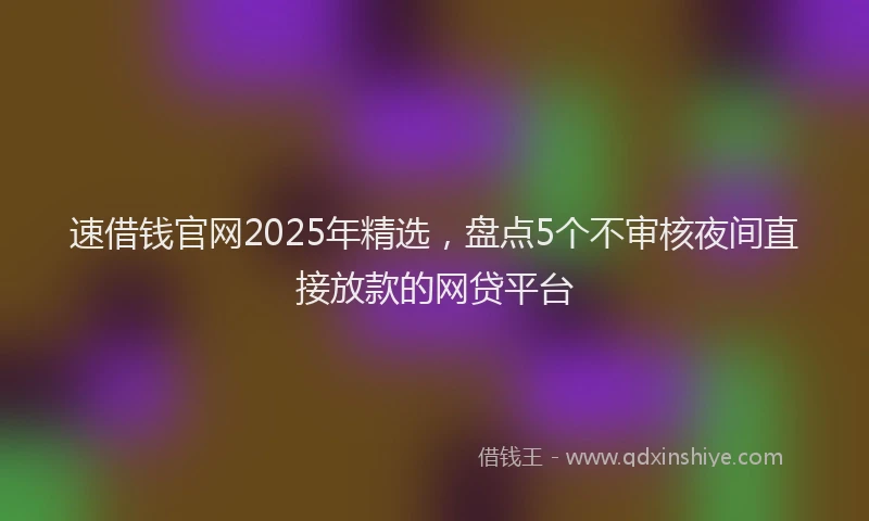 速借钱官网2025年精选，盘点5个不审核夜间直接放款的网贷平台